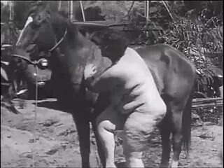 sexy ba chiều hoạt nữ Sinh web sex nhat ban tàn phá